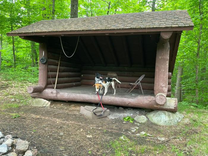 learn too at wolf lake (Credit: charlie)