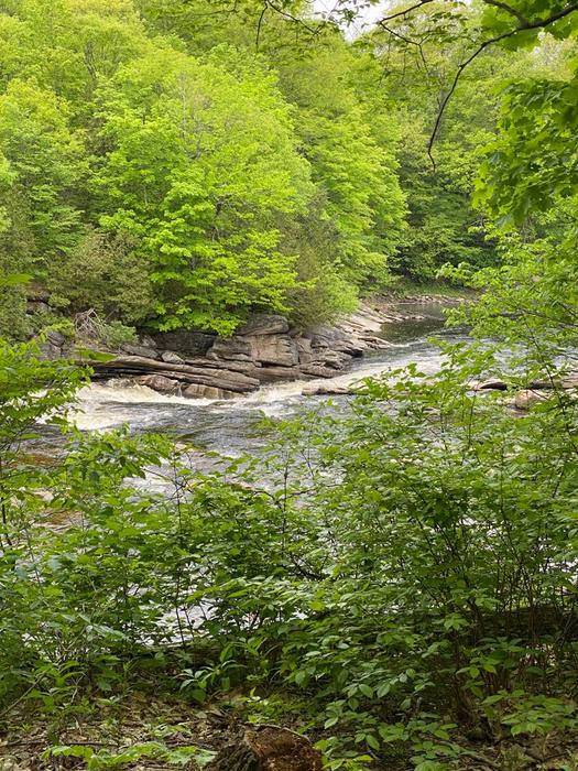 Harts Falls (Credit: Julia Morse)