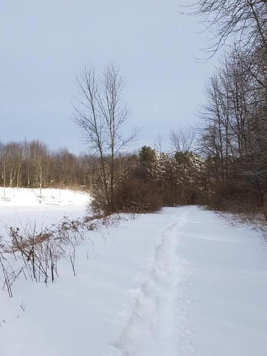 First tracks! (Credit: J. Pfoetenhauer)