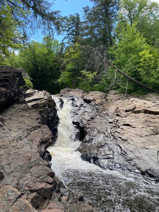 (Credit: Anna Dickinson)