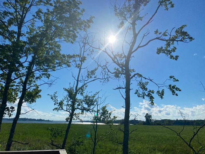 A view from the lookout tower (Credit: Chris Young)