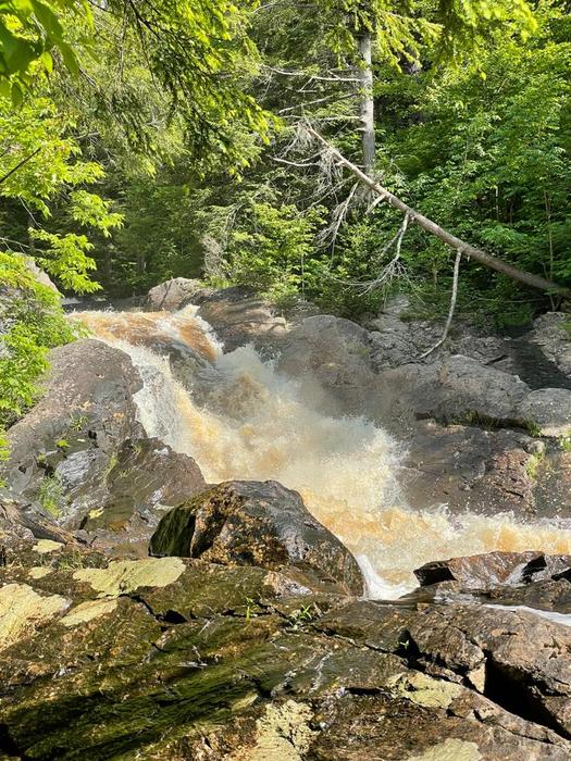 View from Cedar Trees (Credit: Chris Rediehs)