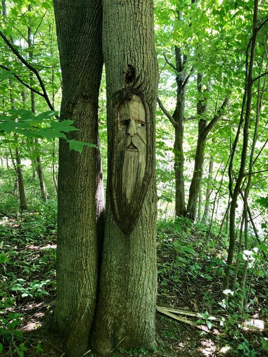 (Credit: Dee  and  Scott Rogers)