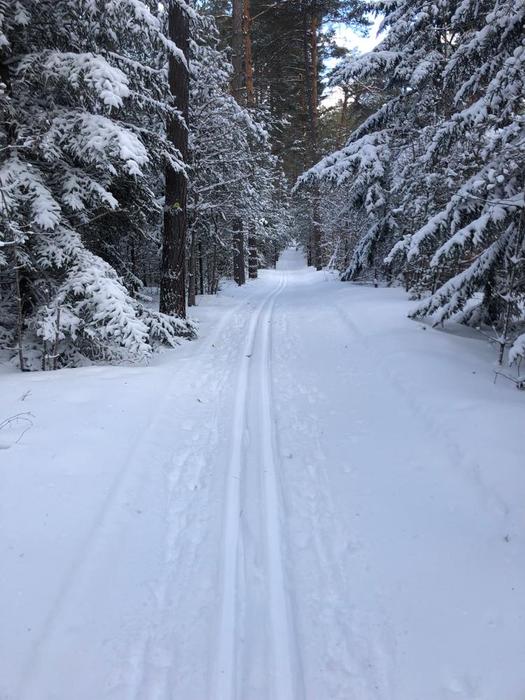 Snowy day at higley flow (Credit: Jakobp)
