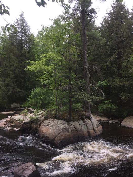 Basford falls