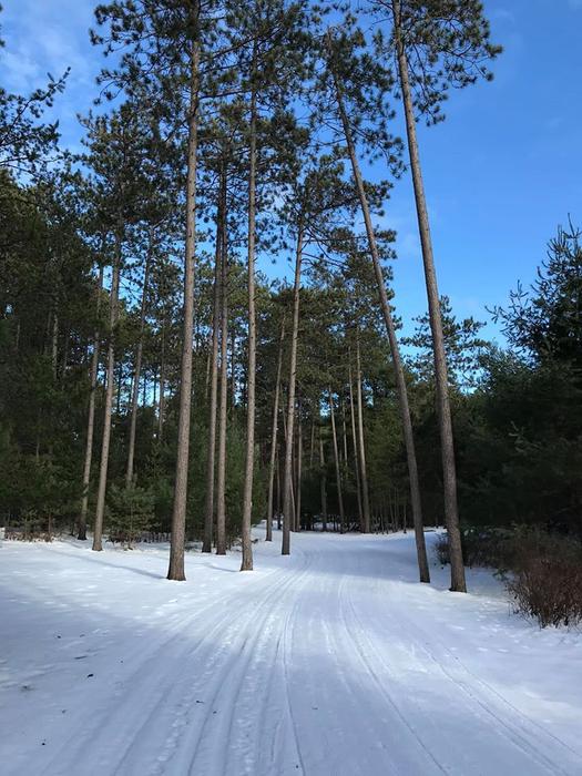 (Credit: Friends of Higley Flow)