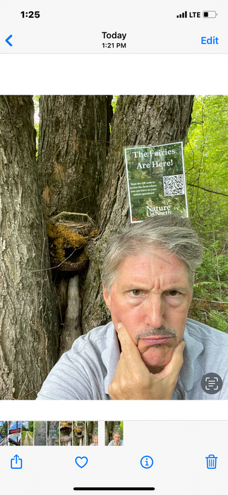 Faries ???? (Credit: chatlie)