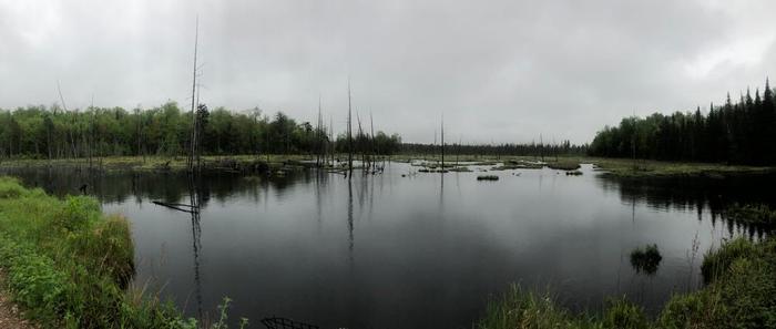 Bog (Credit: Jakobp)