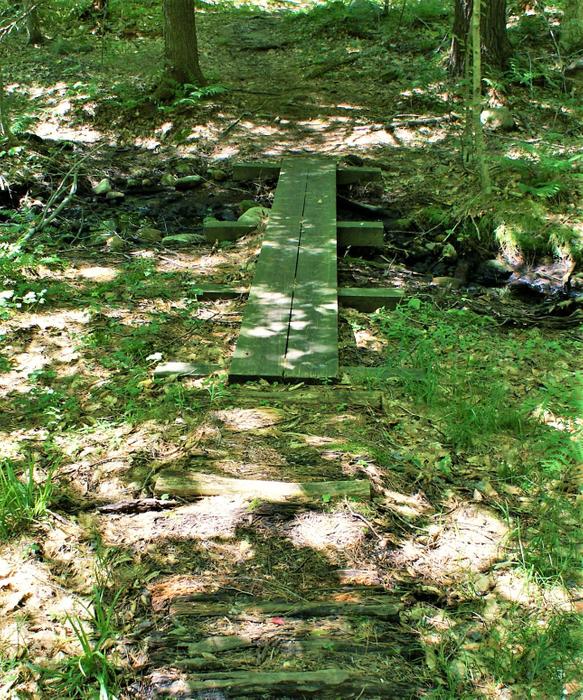 A small boardwalk across a wet spot on the carry-in (Credit: https://hikingthetrailtoyesterday.wordpress.com/)