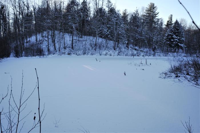 A well-established beaver pond near the start of the trail (Credit: https://hikingthetrailtoyesterday.wordpress.com/)