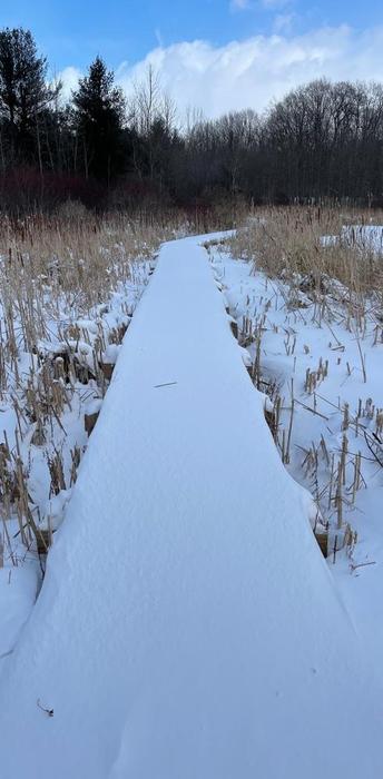 Snow covered bridges (Credit: Alon T.)