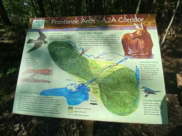 Frontenac arch signage (Credit: Chris Young)