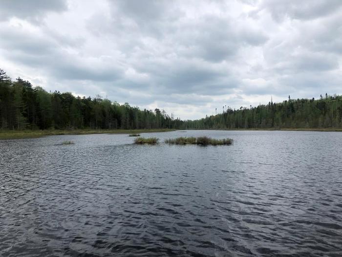 Far end of tooley pond (Credit: Jakobp)