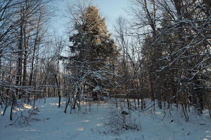 Along the trail (Credit: https://hikingthetrailtoyesterday.wordpress.com/)