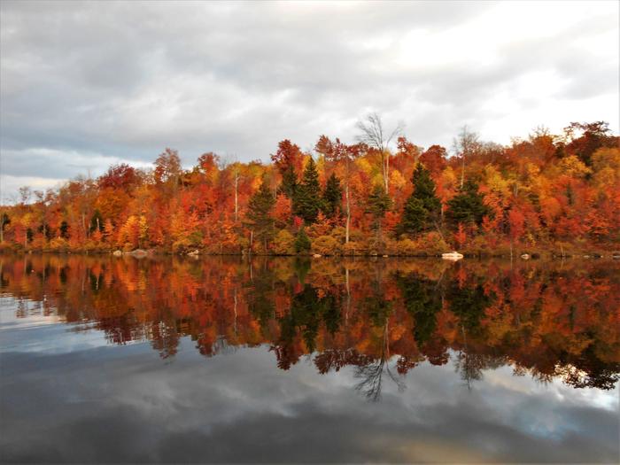 Autumn at Nick's Pond (Credit: https://hikingthetrailtoyesterday.wordpress.com/)