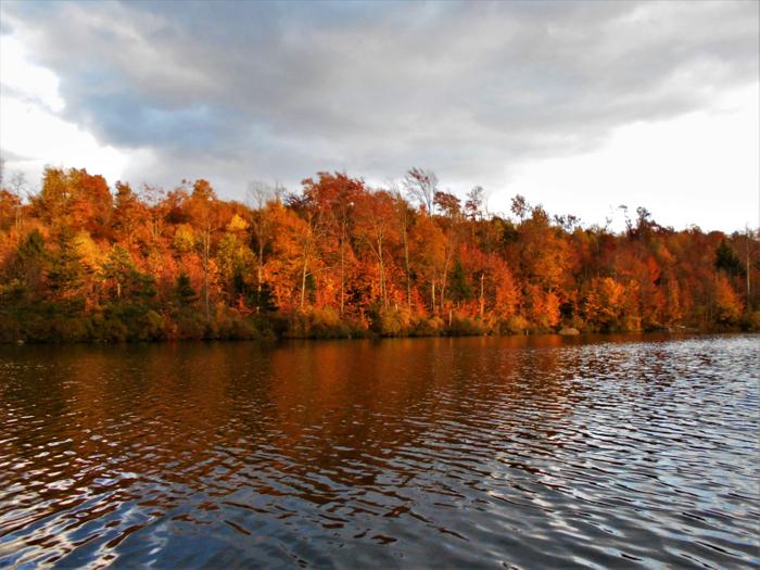 Autumn on Nick's Pond is spectacular. (Credit: https://hikingthetrailtoyesterday.wordpress.com/)