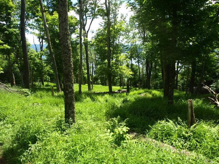 (Credit: http://www.cliftonfineadk.com)