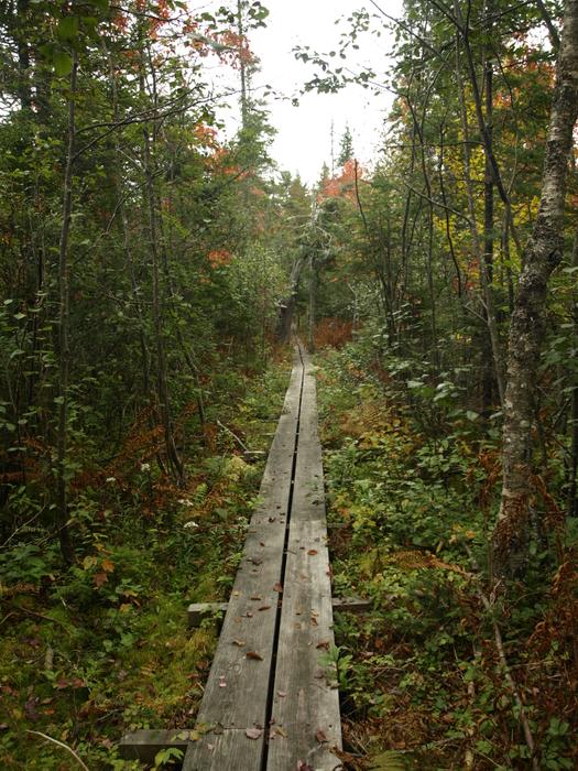 (Credit: http://www.cliftonfineadk.com)