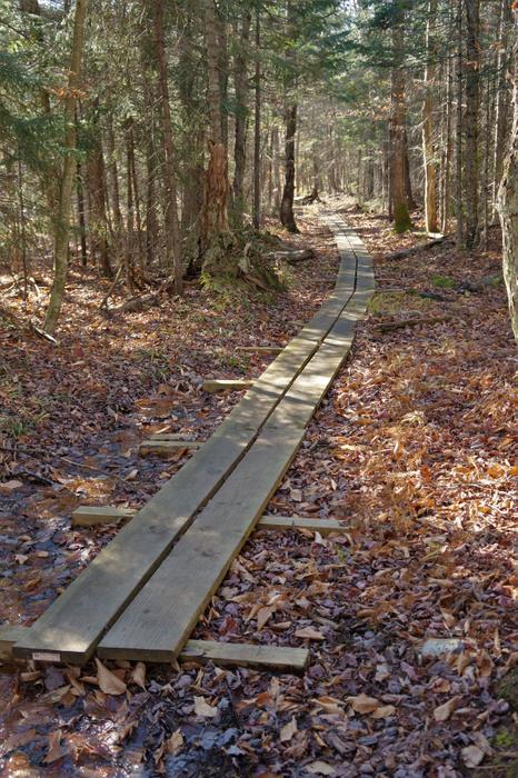 Boardwalk across some of the soggy portions. (Credit: Credit: Wm Hill- Hiking the trail to yesterday)