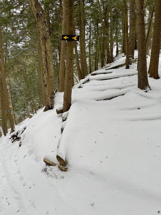 Well marked trail. (Credit: Alon)