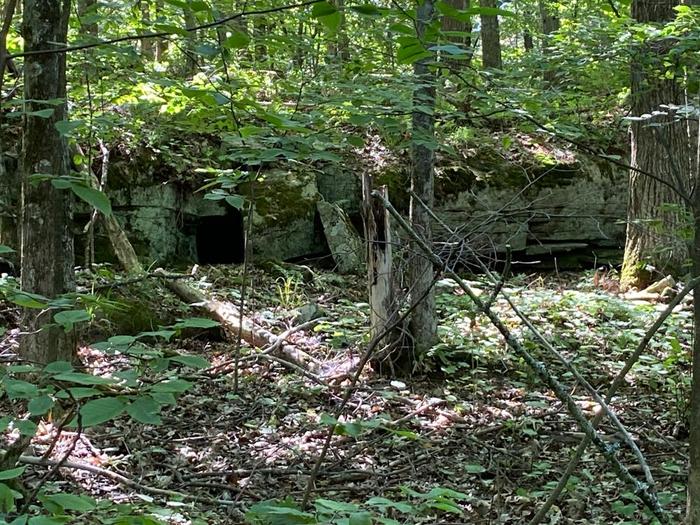 Rock dens (Credit: Chris Young)