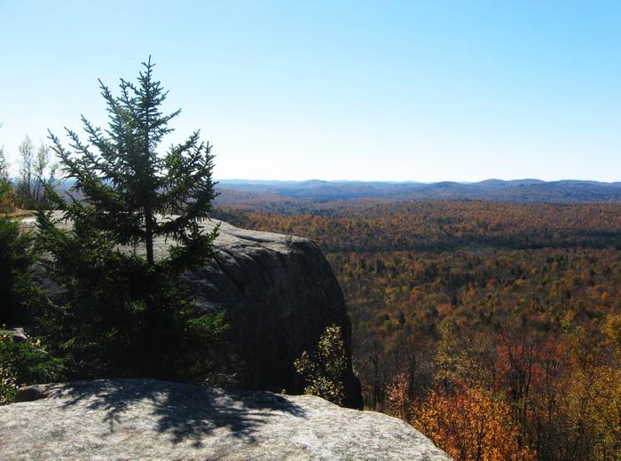 (Credit: http://www.cliftonfineadk.com/)