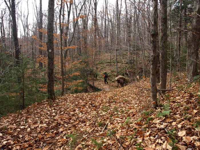 (Credit: http://www.cliftonfineadk.com/)