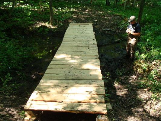 New footbridge on the Chippewa Bay Nature Trail (Credit: Thousand Islands Land Trust)