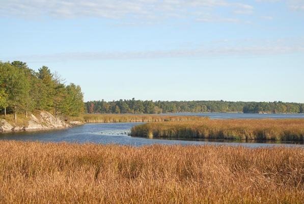 (Credit: Thousand Islands Land Trust)