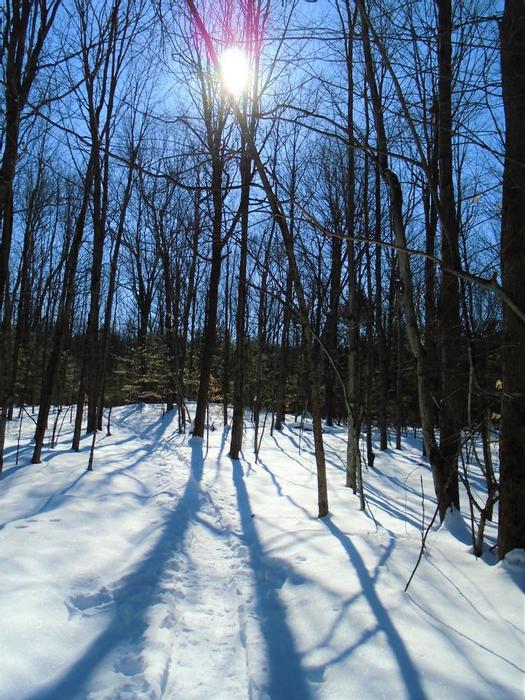 (Credit: WM Hill - Hiking the trail to yesterday)