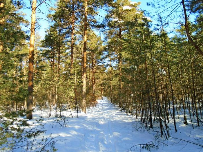 (Credit: WM Hill - Hiking the trail to yesterday)