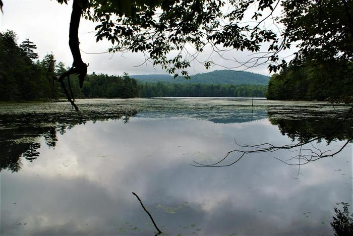 on Dead Creek flow (Credit: Wm Hill- Hiking the trail to yesterday)