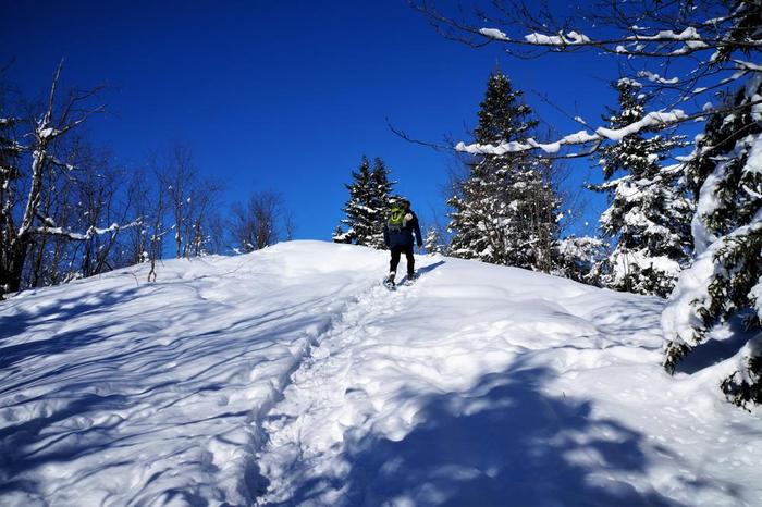 (Credit: WM Hill - Hiking the trail to yesterday)