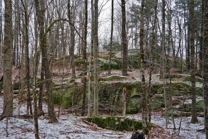 on the red trail (Credit: Wm Hill- Hiking the trail to yesterday)