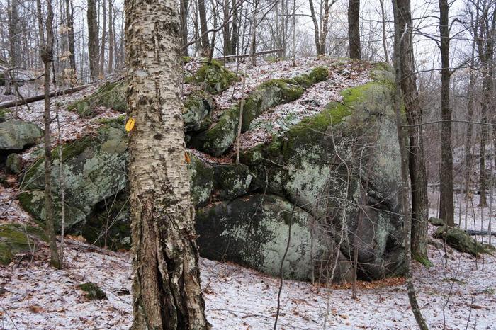 The yellow trail is in open hardwoods and much hillier (Credit: Wm Hill- Hiking the trail to yesterday)