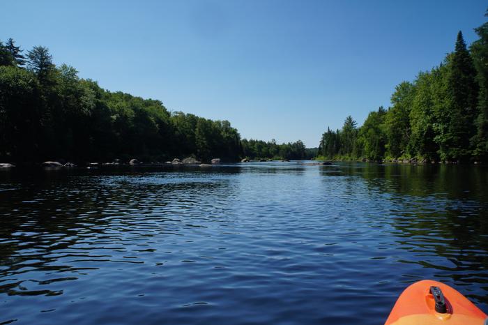 (Credit: William Hill)