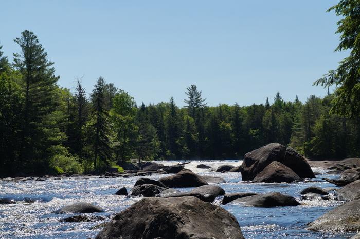 (Credit: William Hill)