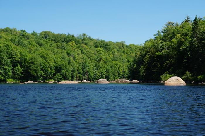 (Credit: William Hill)