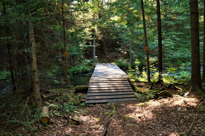 (Credit: William Hill, Hiking the Trail to Yesterday)