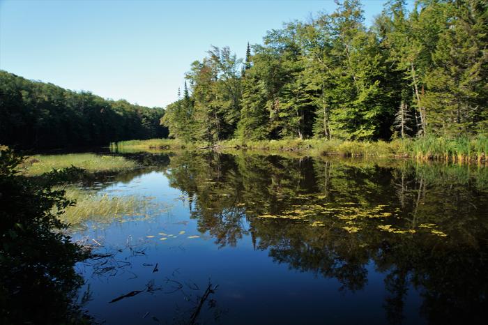 (Credit: William Hill, Hiking the Trail to Yesterday)