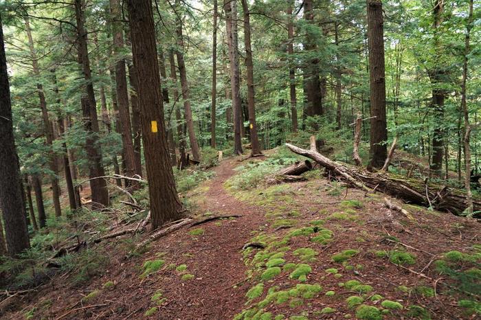 (Credit: WM Hill - Hiking the trail to yesterday)