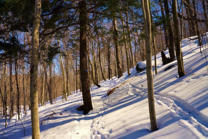 (Credit: WM Hill - Hiking the trail to yesterday)