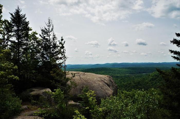 The summit views from Cat Mt