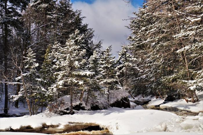 (Credit: WM Hill - Hiking the trail to yesterday)
