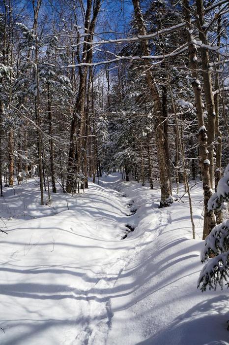 (Credit: WM Hill - Hiking the trail to yesterday)