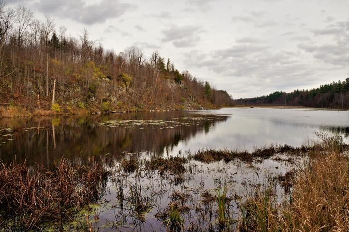 The marsh below the overlook ridge. The trail crosses this on an old beaver dam. (Credit: Wm.Hill)