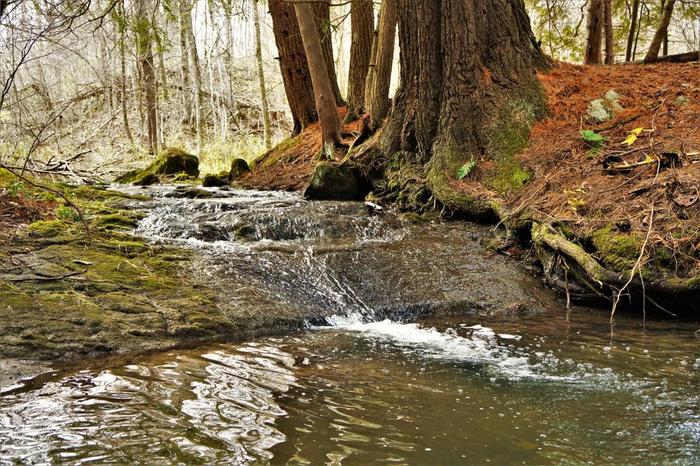 A small steam the flows into the Oswegatchie river (Credit: Wm.Hill)