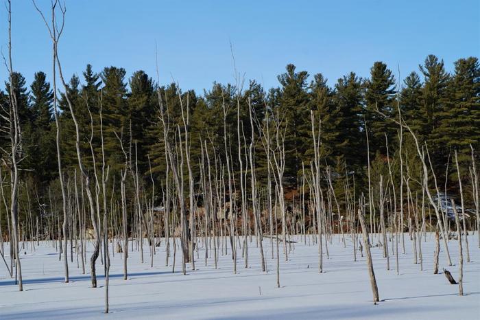 (Credit: WM Hill - Hiking the trail to yesterday)