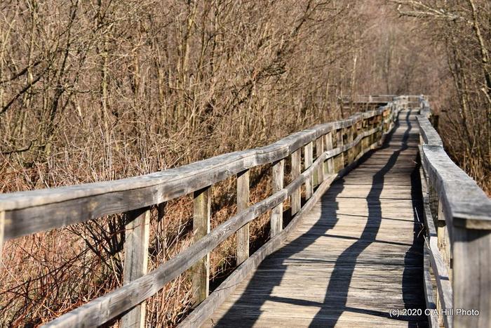boardwalk/observation deck trail (Credit: C A Hill Photo)