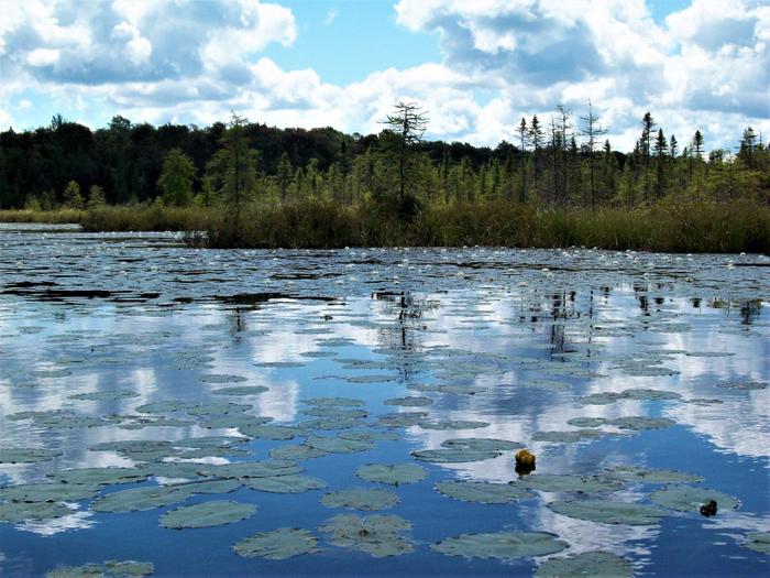 Don't forget to explore the outlet. (Credit: https://hikingthetrailtoyesterday.wordpress.com/)